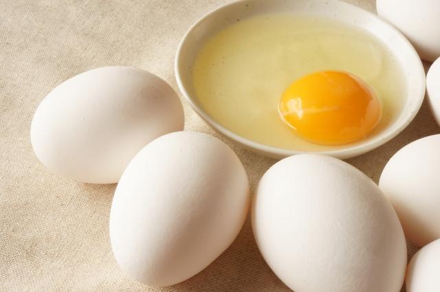 【有名な卵の工場】卵をパックに入れるだけ！シフトが自由・冷暖房完備で年中快適